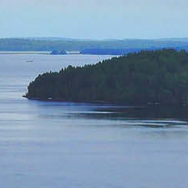damier_iwl2_2.jpg