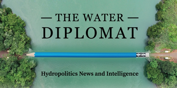 damier_waterdiplomat.jpg
