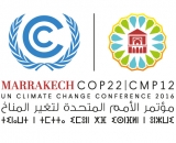 cop22cover-fb.jpg
