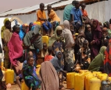 creditcateturtondid_refugees_crop.jpg