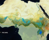 creditwetlandsinternational_sahel.jpg