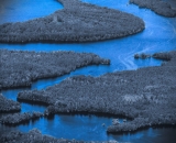 droiteau-moocs-1200x1200.jpg